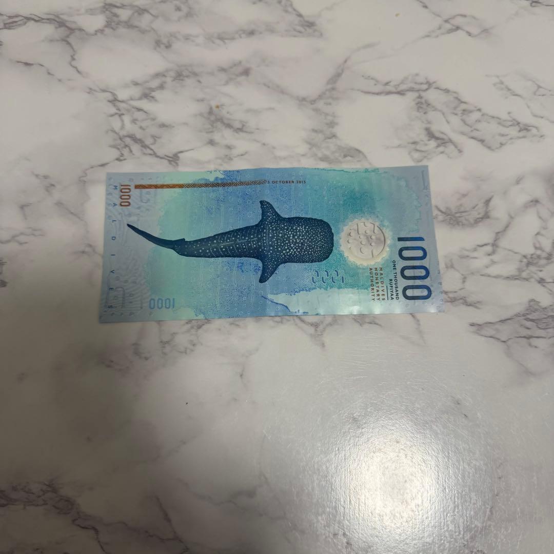 1000ルフィア ウミガメ・ジンベイザメ モルディブ紙幣