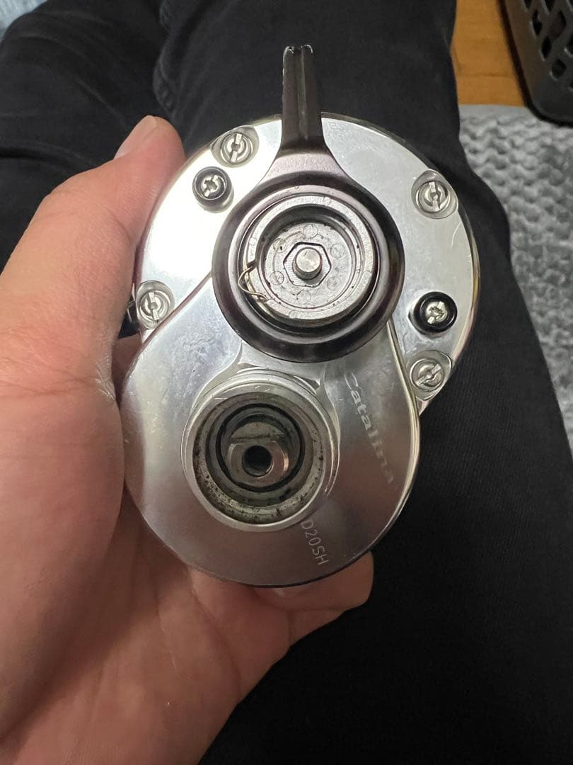 ダイワ キャタリナ