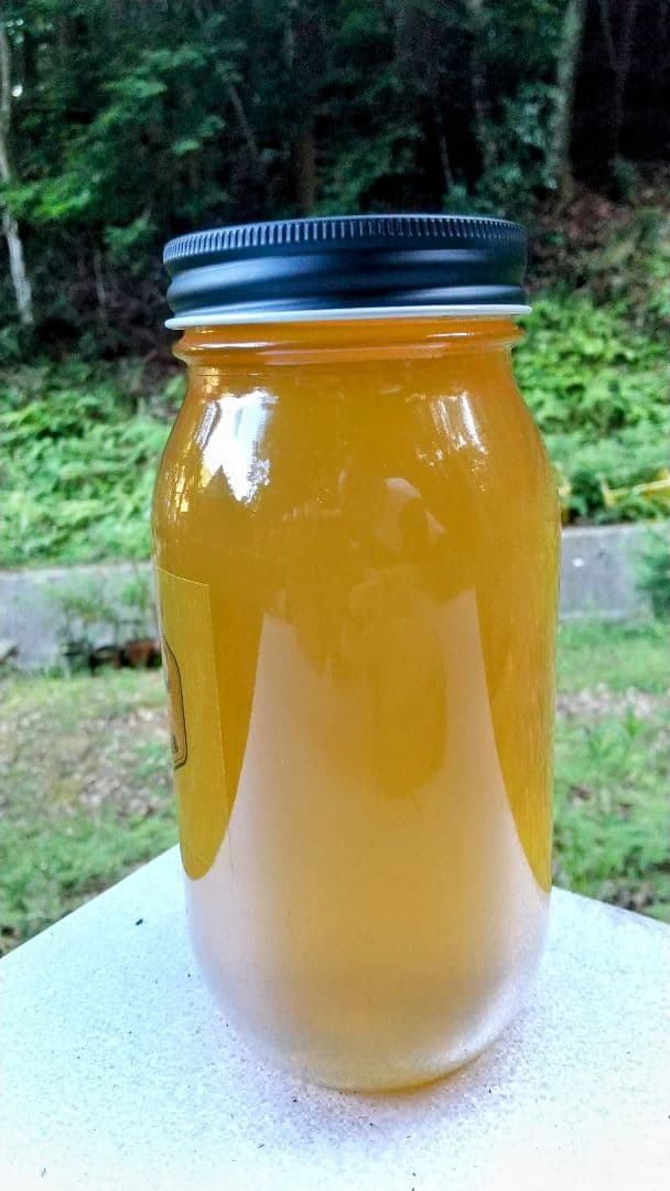 はちみつ 2kg 国産 天然 純粋 非加熱 蜂蜜 2000g 【養蜂家直送】