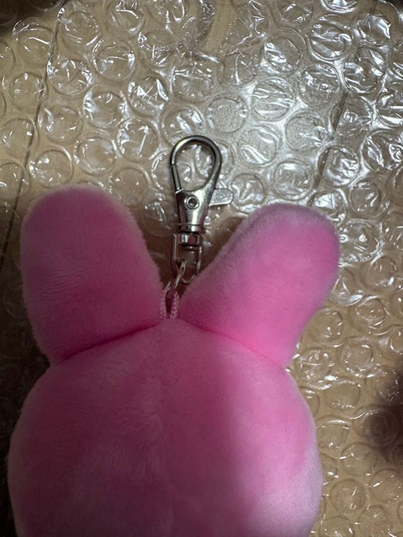 【公式】SKZOO トゥエッキ チャンビン グッズ ※加工あり