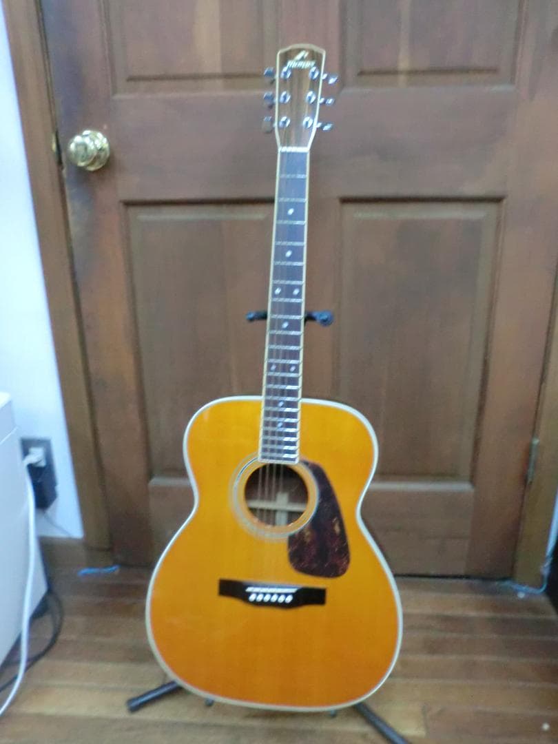 ギター Morris MF-501