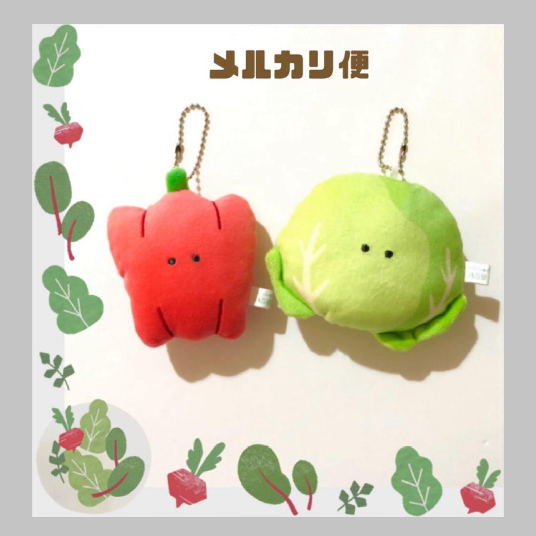 つぶらな瞳の八百屋 きゃべつ ぱぷりか(あか) ２点セット