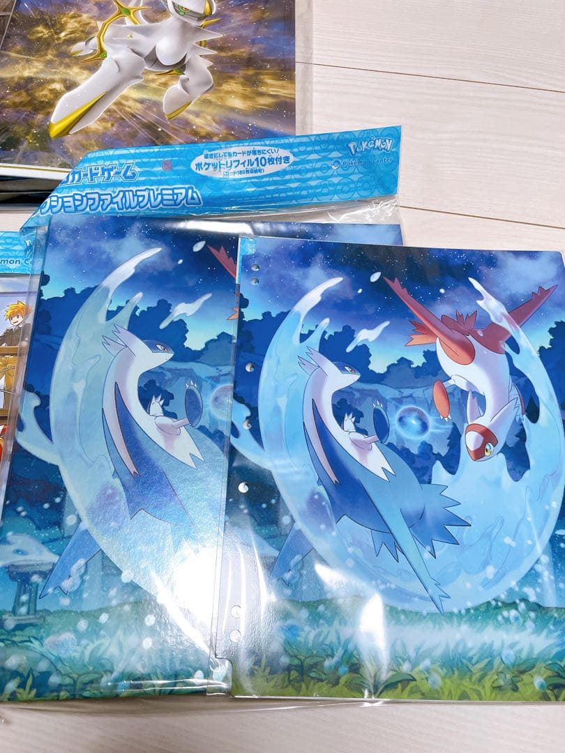 ポケカ ポケモンカード ポケモン クリアファイル カードファイル ファイル