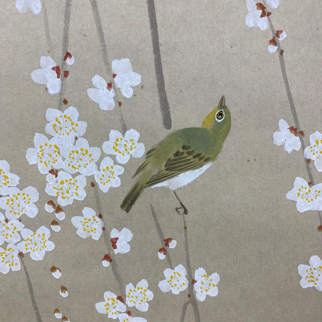 美品 掛け軸 出口華凰作 枝垂梅図 共箱 美術年鑑掲載 縁起物