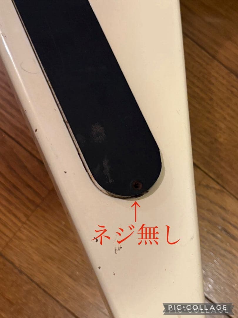 ギター Fernandes The Function