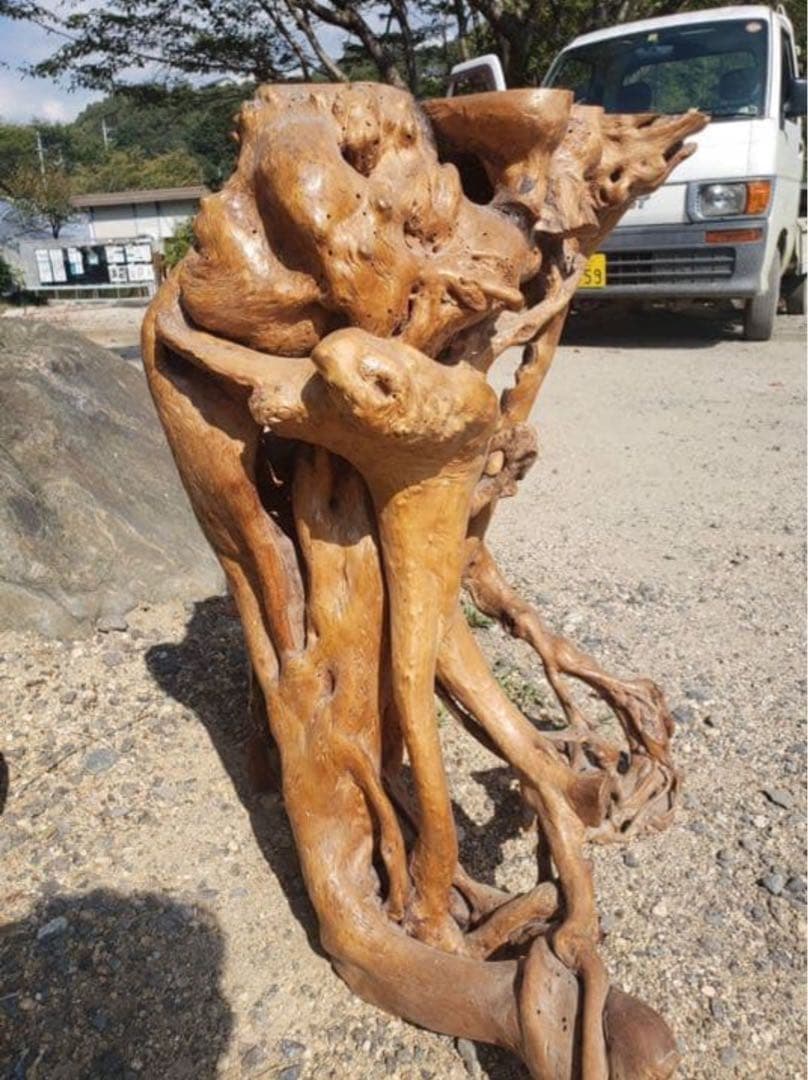 盆栽花台　根卓　ユニークな木製インテリアオブジェ m-NO210高さ60センチ