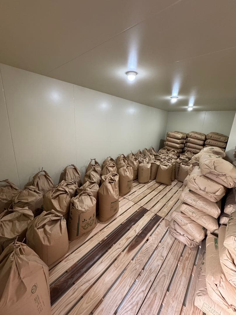 令和7年度産　山口県産（新米）10kgコシヒカリ　白米/玄米　農家直送　送料無料