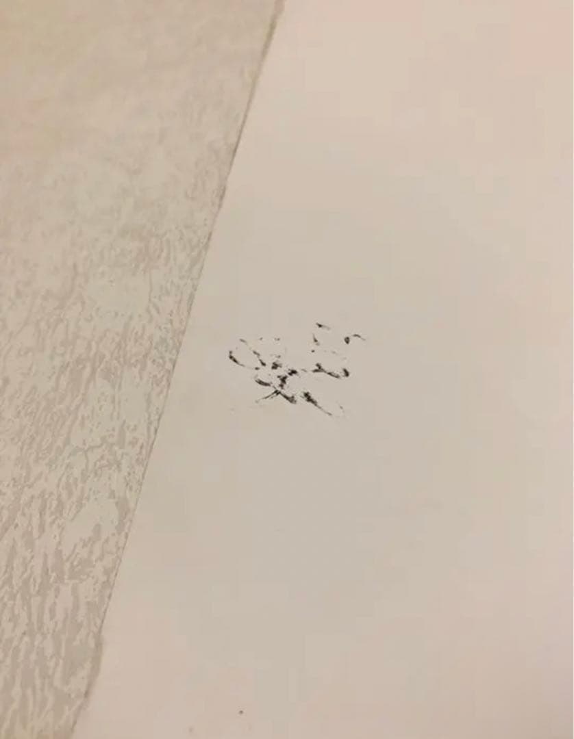 乃木坂46「サヨナラの意味」全メンバー直筆サイン入りポスター