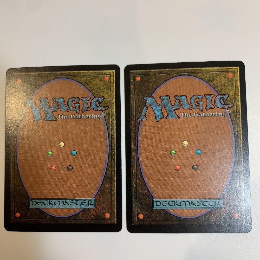 MTG 吹きさらしの荒野　日本語2 値下げ