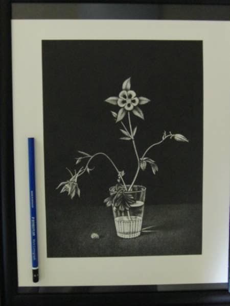 長谷川 潔、巨匠、アンコリの花/マニエルノワール・レゾネ、額装