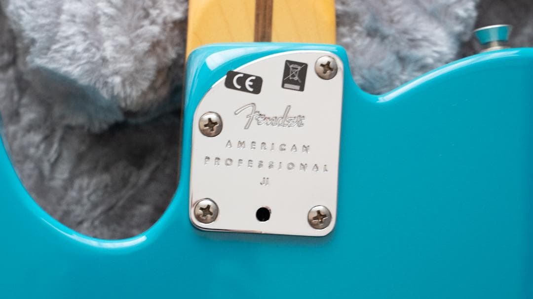 【コンソメ】Fender American Professional