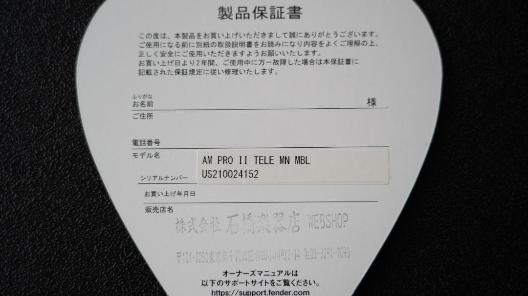 【コンソメ】Fender American Professional