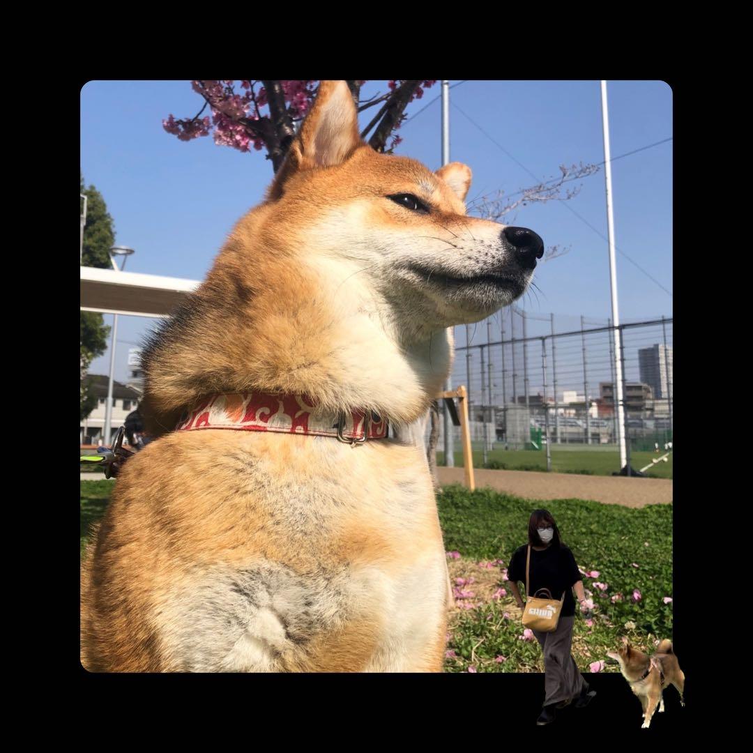 j.t95☆様ご確認用