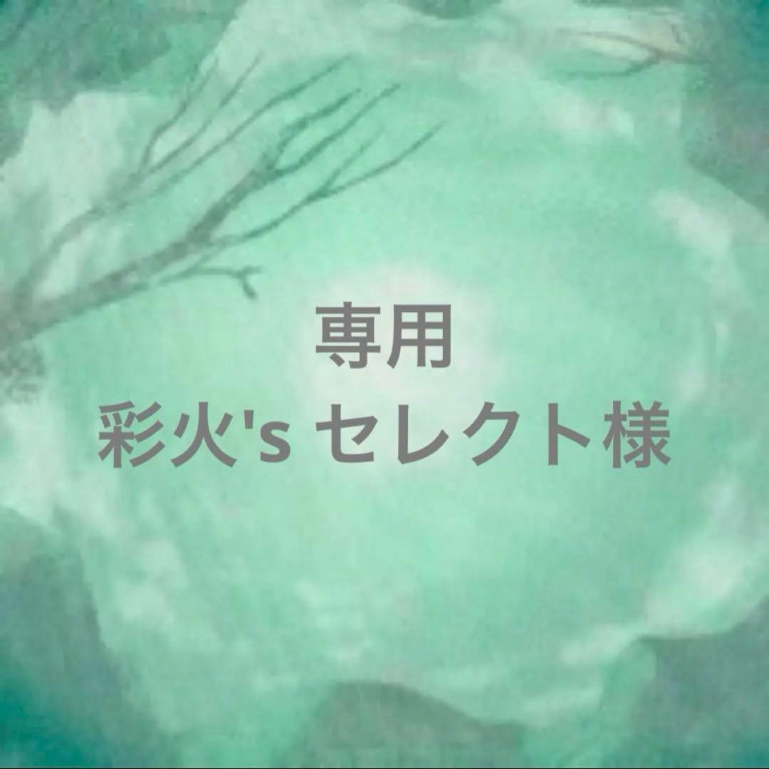 ⑤専用ページ 彩火's セレクト@プロフ必読・代行×様