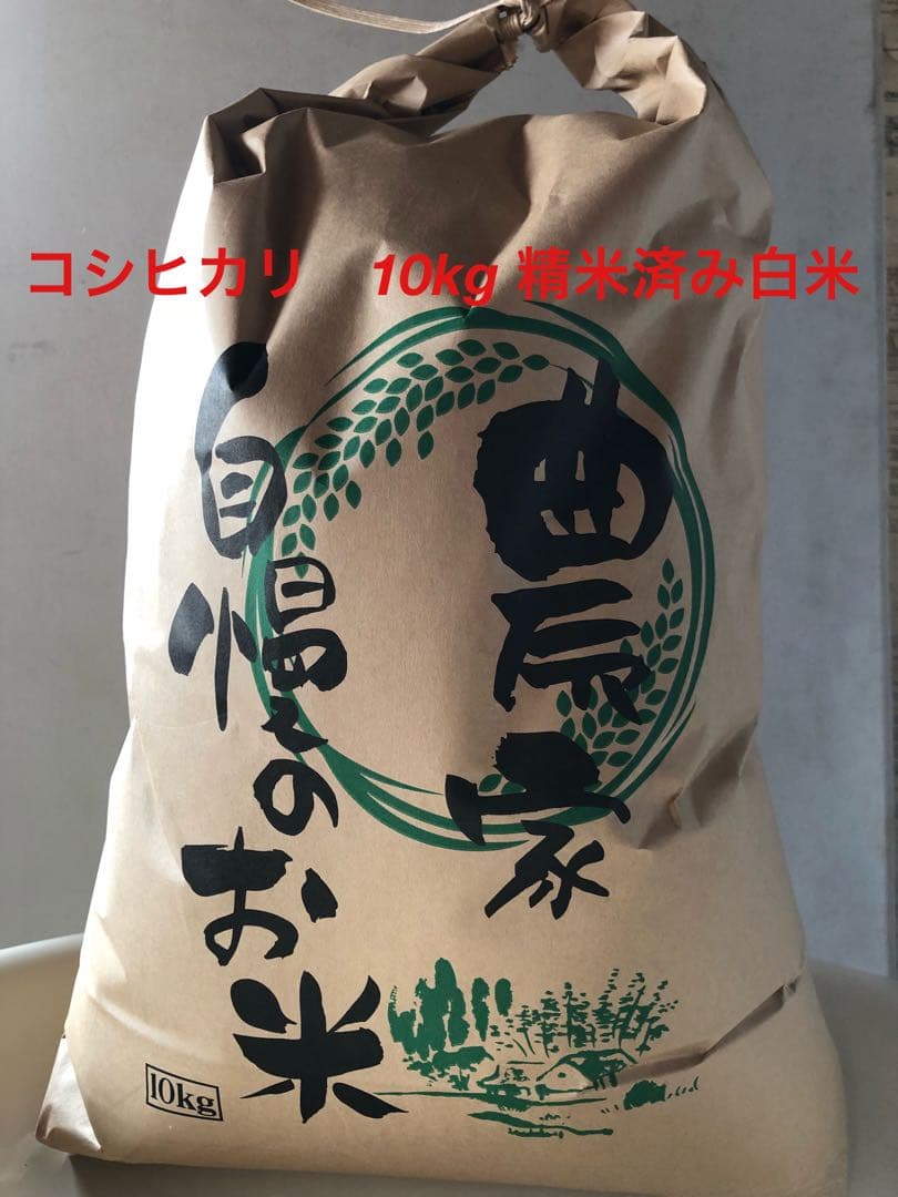 コシヒカリ10kg 精米済み白米　令和7年夏収穫　三重県産　お米