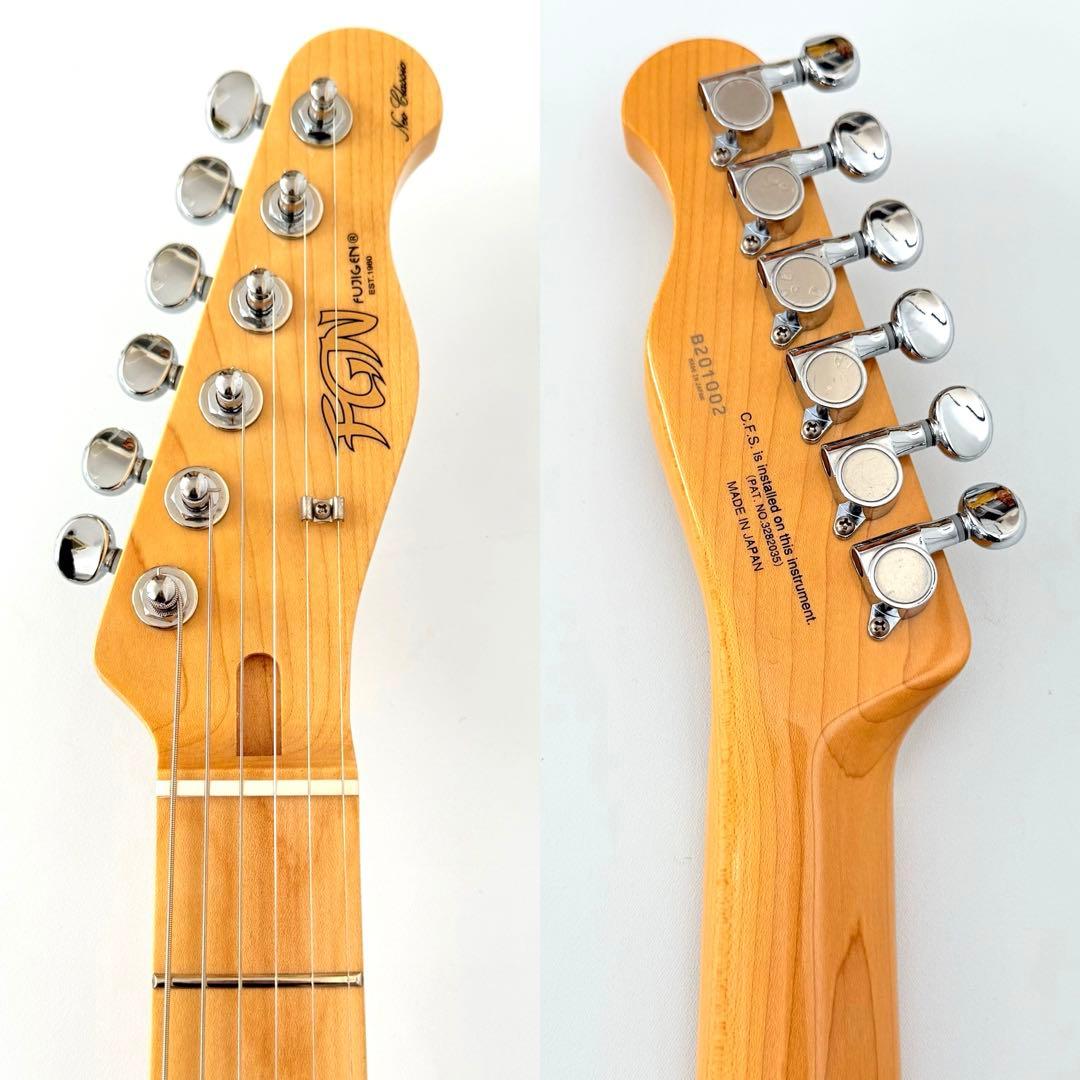 Fujigen NTE10M エレキギター フジゲン