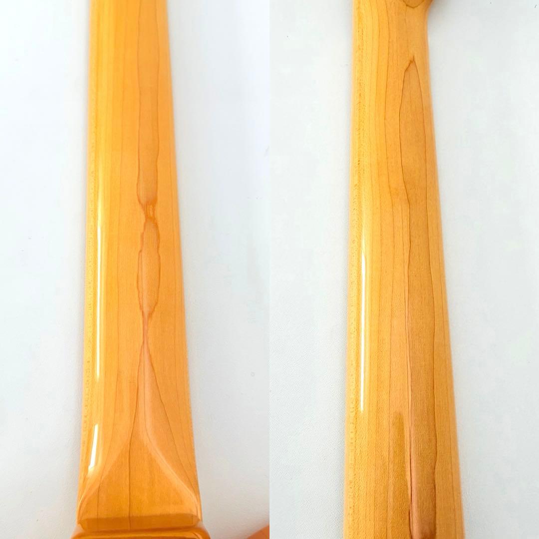 Fujigen NTE10M エレキギター フジゲン