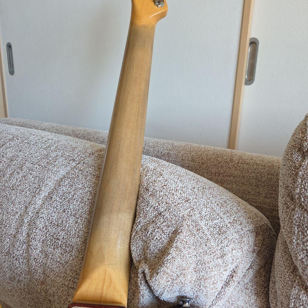 ギター BRUNO GUITARS TN-295