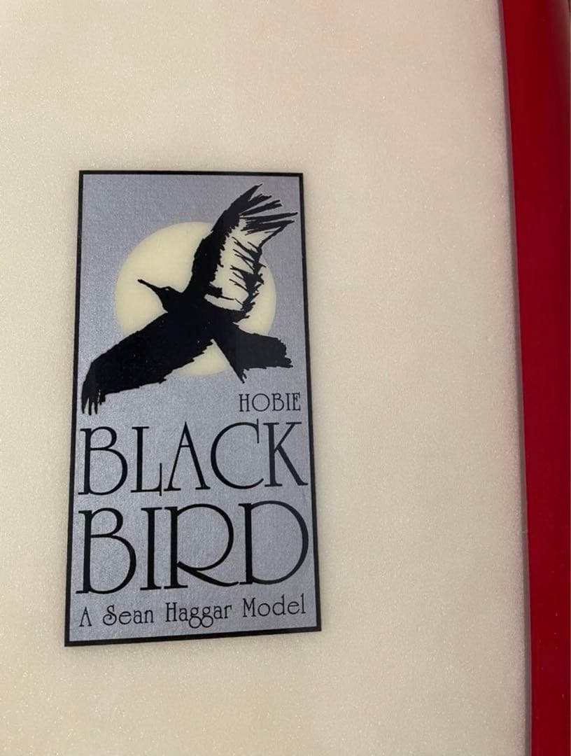 ホビーサーフボード　ロングボード　9.2ft