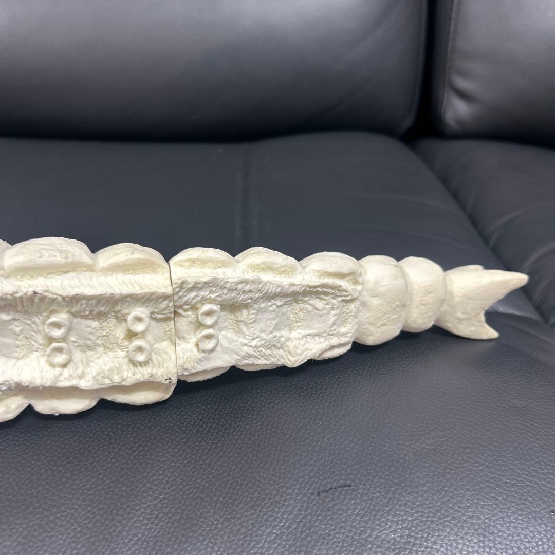 パラダイス　モスラ　幼虫(約４０センチ)　モスラ対ゴジラ