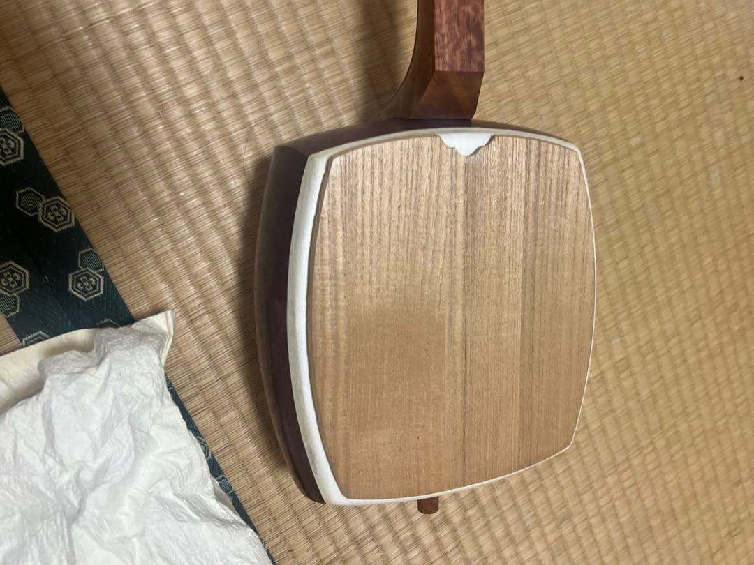 希少　白紅木　地歌用三弦　黒檀糸巻き　天然素材撥　ハードケース付き