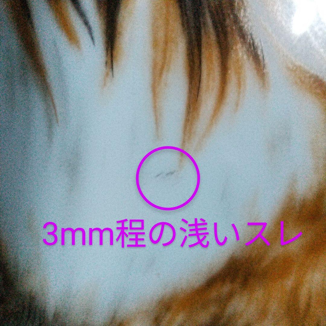 1950年代◆プレミアノリタケ◆プレート コリー犬 ハンドペイント サイン入り