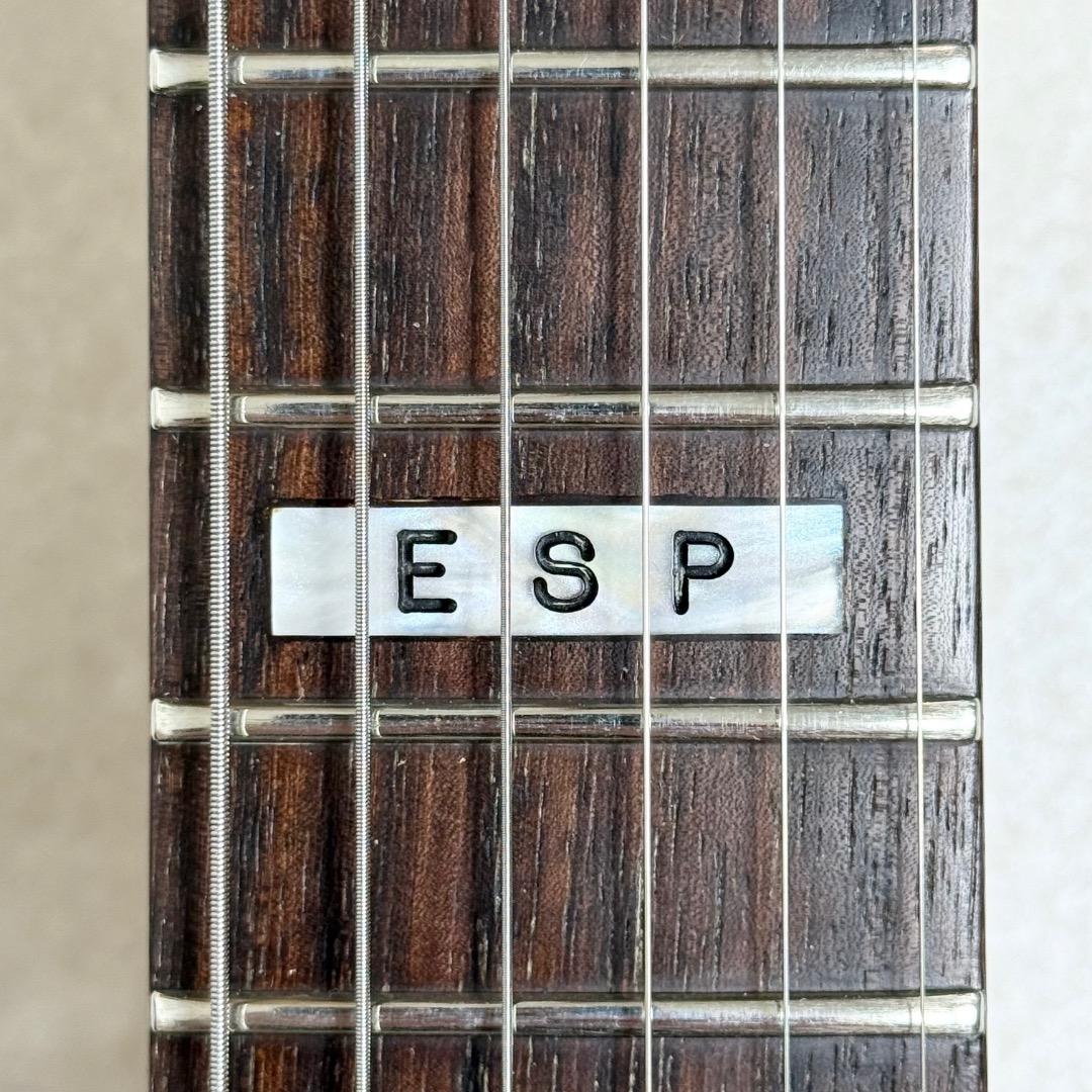 ESP HORIZON ホライゾン エレキギター 日本製 Dimarzio PU