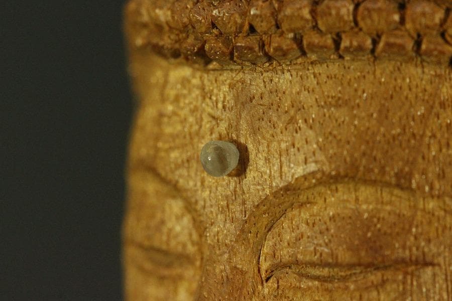 仏教美術 木彫 仏像(A704)