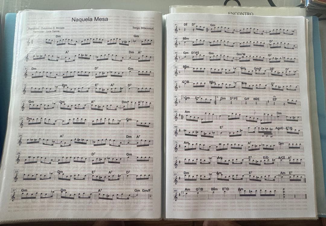 Ginga Brasilコレクション＋ギター教材付