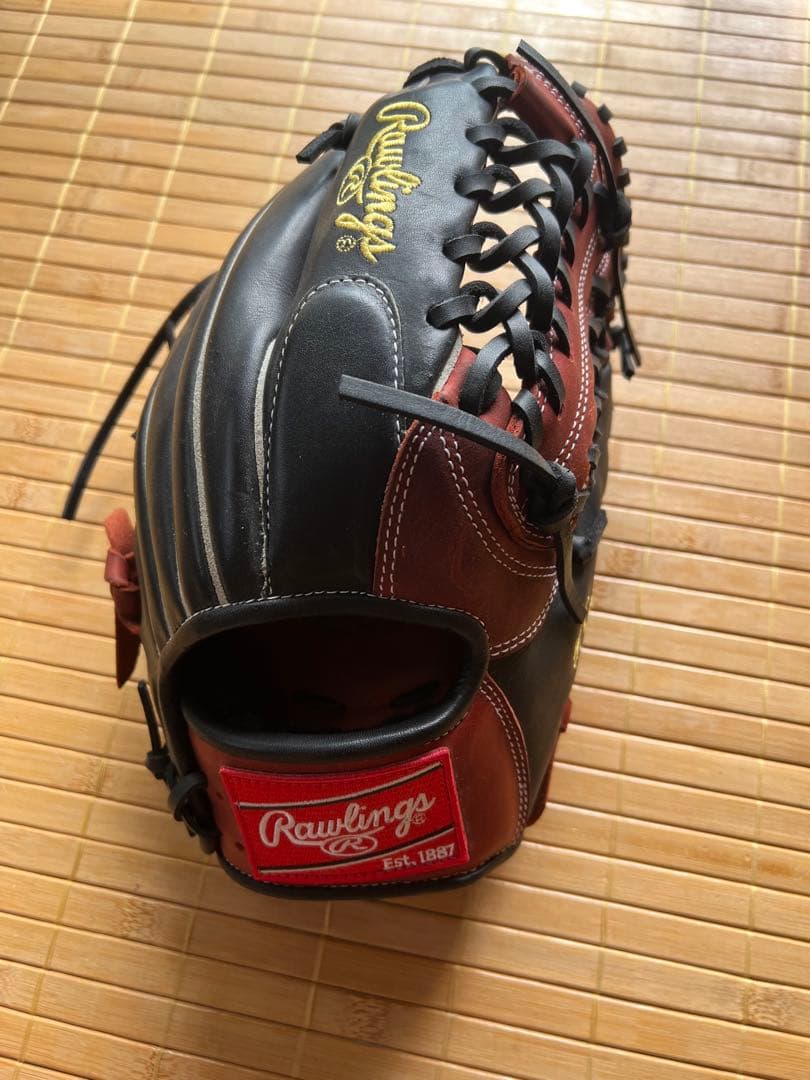 【新品未使用・支給品】元北海道日本ハム榎下陽大投手練習用グラブ