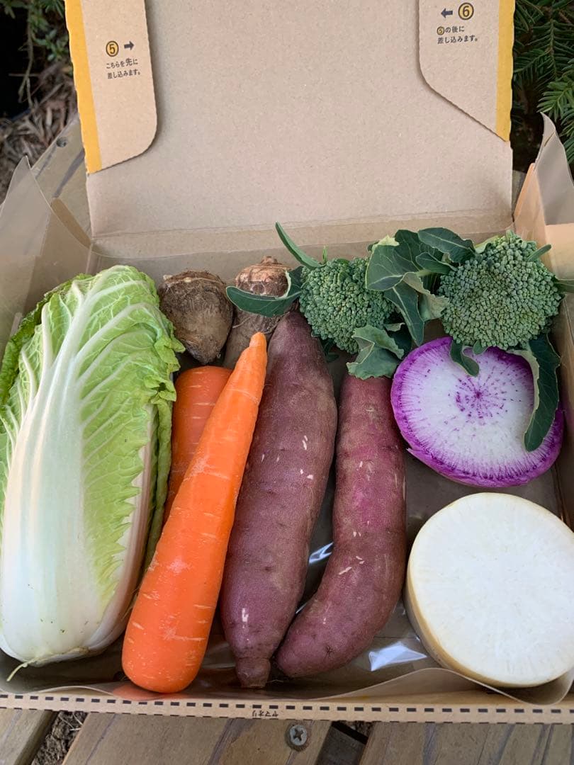 南国サファイアページです