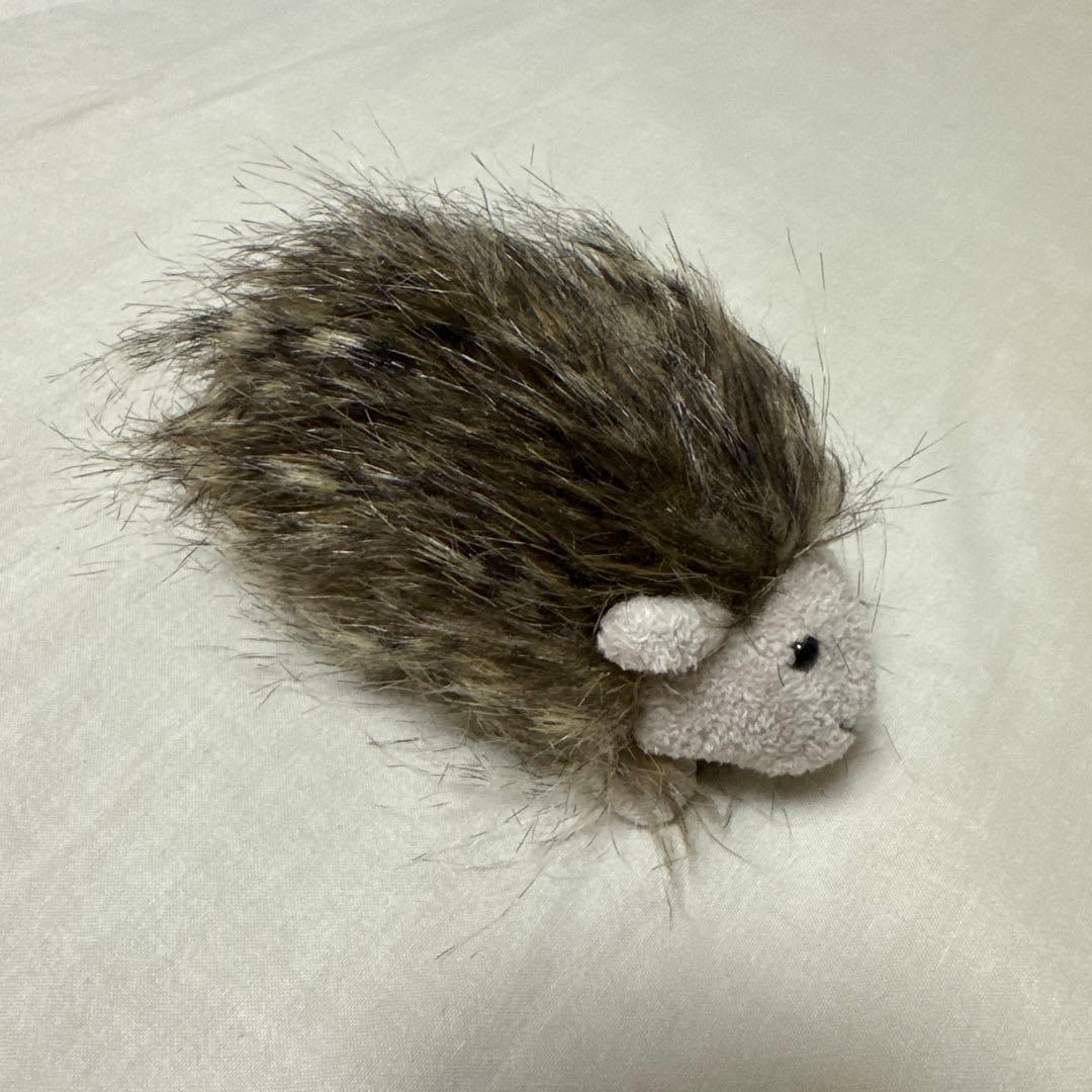 ジェリーキャット ゴージャスギニアピッグ ゴージャス モルモット