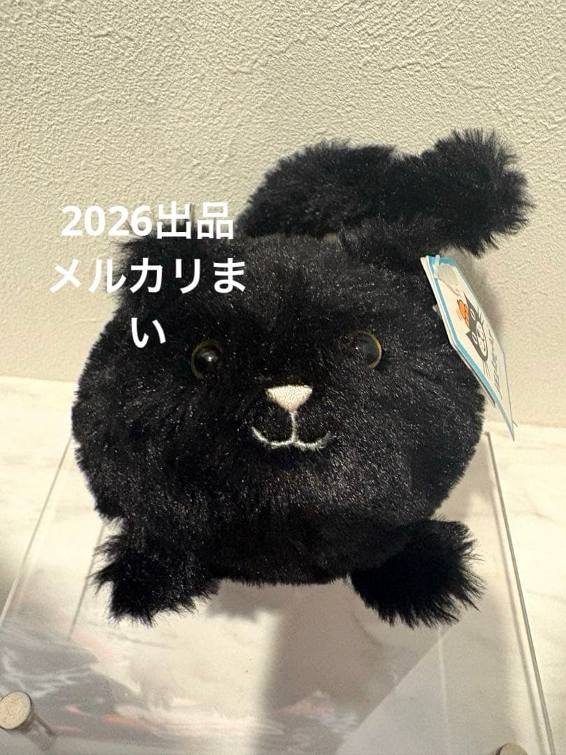  Black Kitten Caboodle 黒猫 ぬいぐるみ