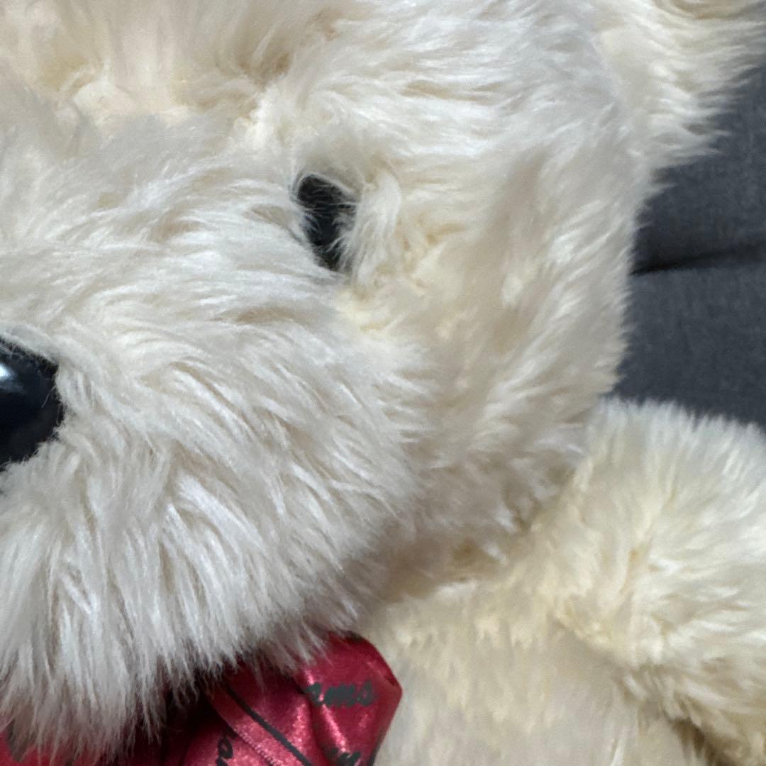 HIROKUN HOUSE かなり大きなテディベア/くまぬいぐるみ