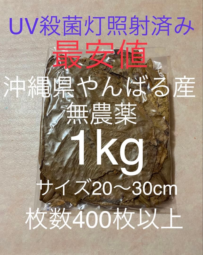 沖縄県やんばる産マジックリーフ 1kg UV殺菌灯照射済み⑥
