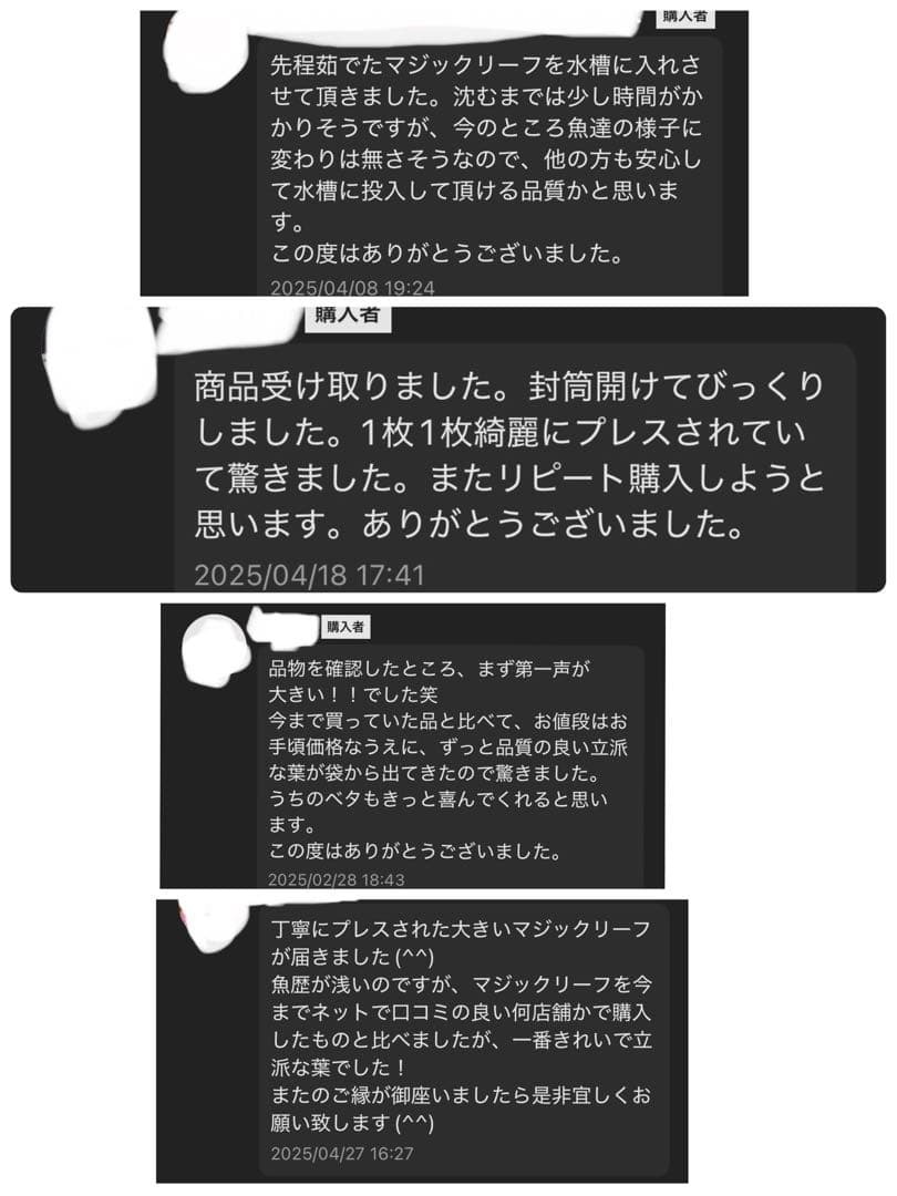 沖縄県やんばる産マジックリーフ 1kg UV殺菌灯照射済み⑥