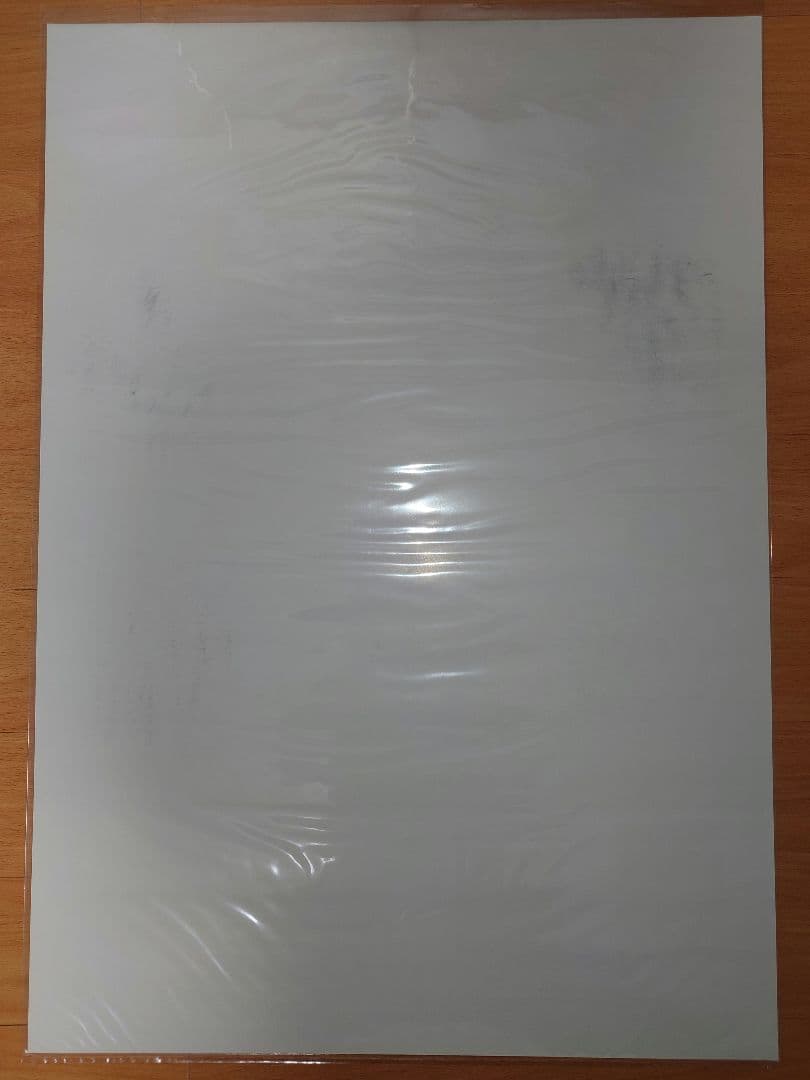 当選品　Poppin'Party STAR BEAT ポスター サイン入り