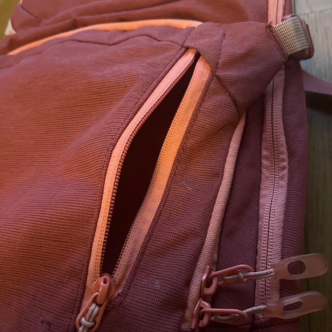 DAKINE HELI PRO 20 バックパック ピンク