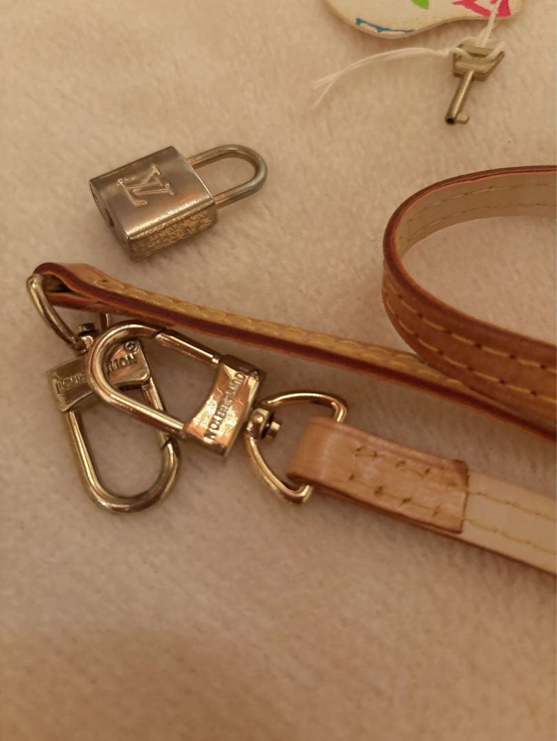 ノベルティLouis Vuitton マルチカラーミニスピーディショルダーバッグ