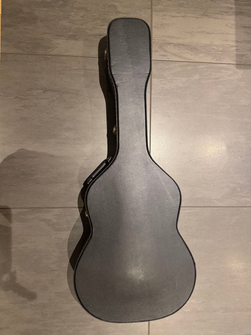 【セール中】Aria オール単板 Fishmanピックアップ付き ADF-CST