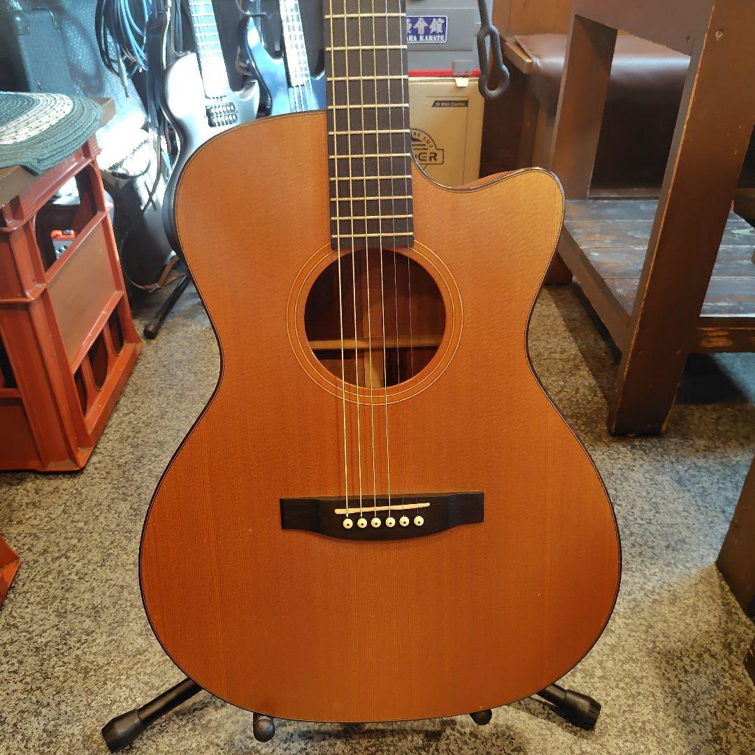 ギター Lakewood M-1