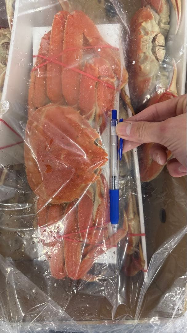 北海道産ボイルオオズワイガニ！特大！　冷凍 3k6匹入り！