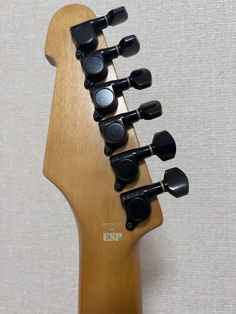 希少Edwards by ESP DAITAモデル　PickUpカスタム