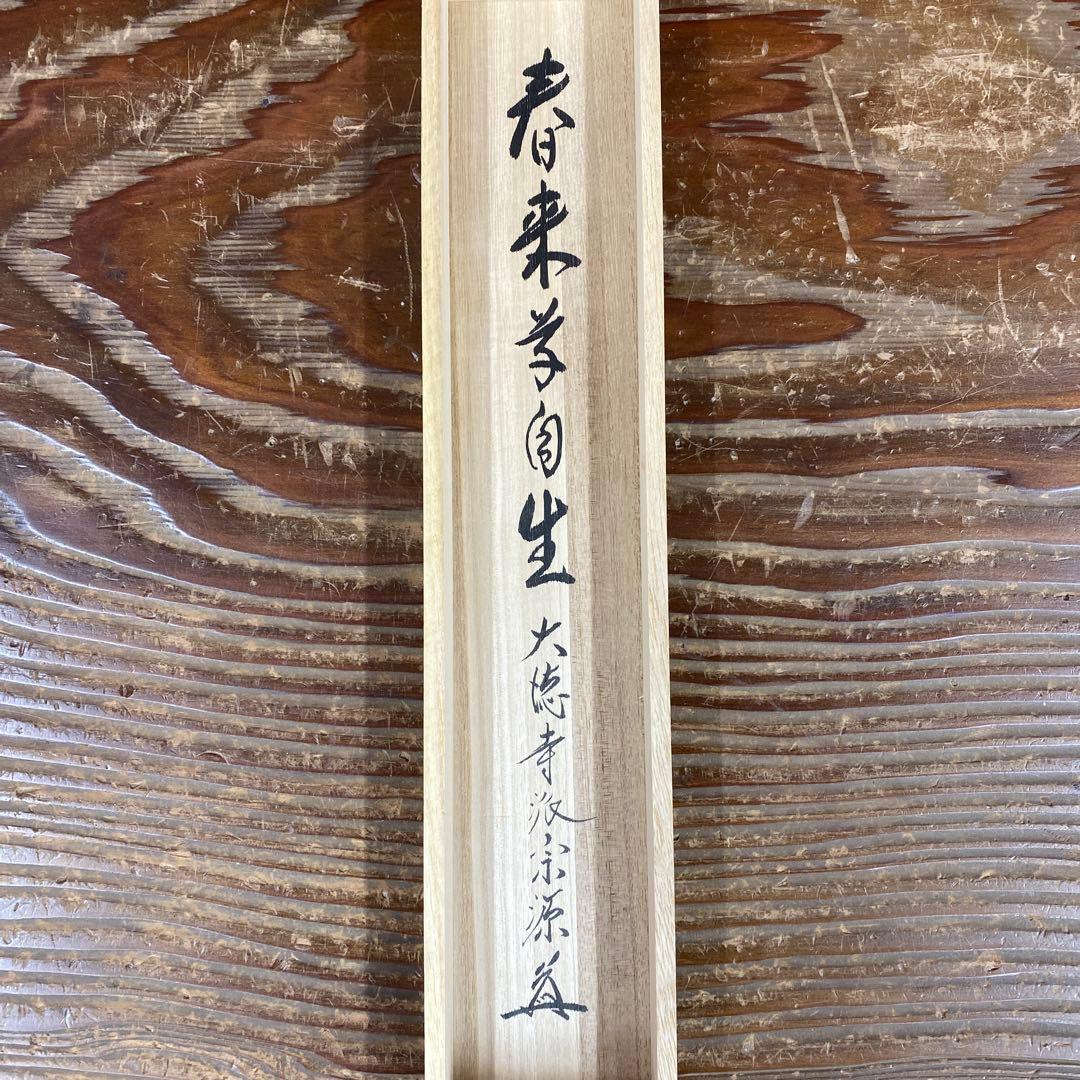 美品 掛け軸 前田宗源作「春来草自生」大徳寺 共箱 禅語 茶掛
