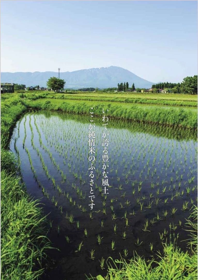 お米　白米【令和7年産岩手県産銀河のしずく30kg 】5kg×6 人気商品！