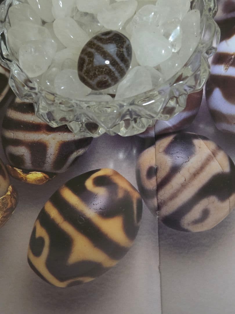 052　天珠　楕円形　虎牙蓮花天珠　dzibeads！