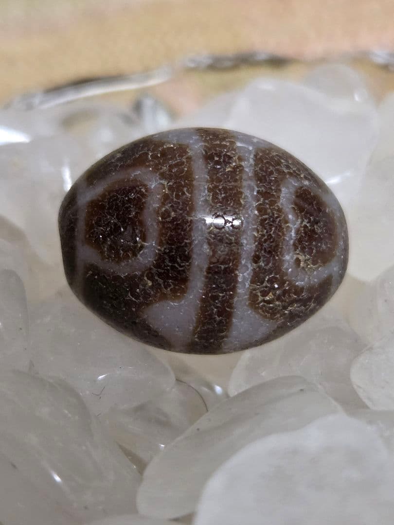 052　天珠　楕円形　虎牙蓮花天珠　dzibeads！