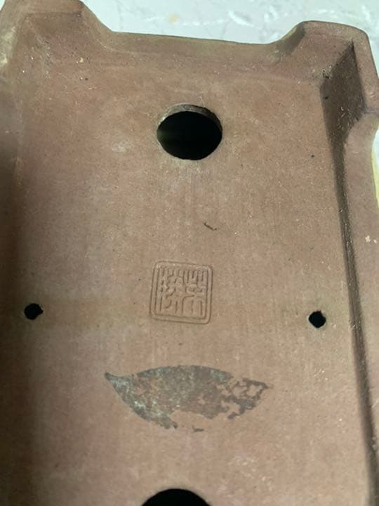 柴勝　盆栽鉢　長方