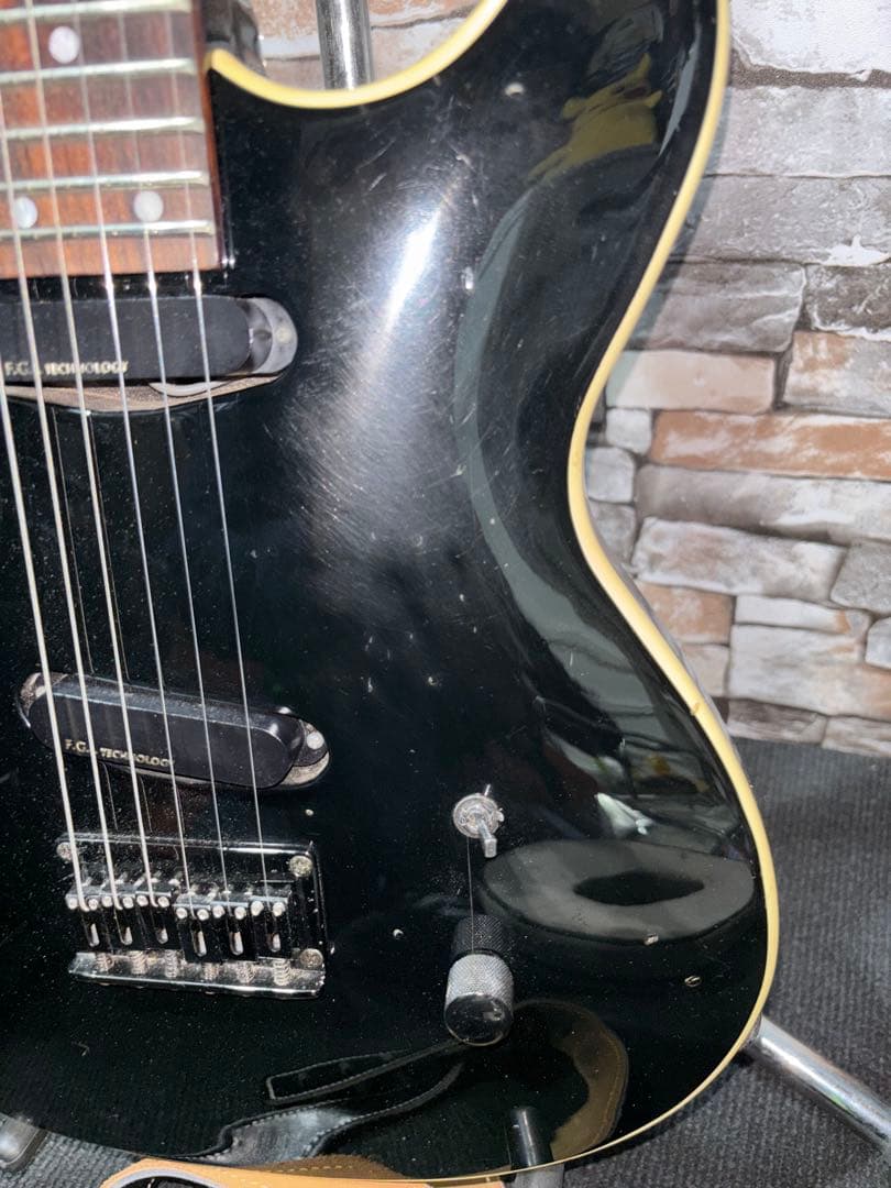 フェルナンデス BT-110HH buck-tick