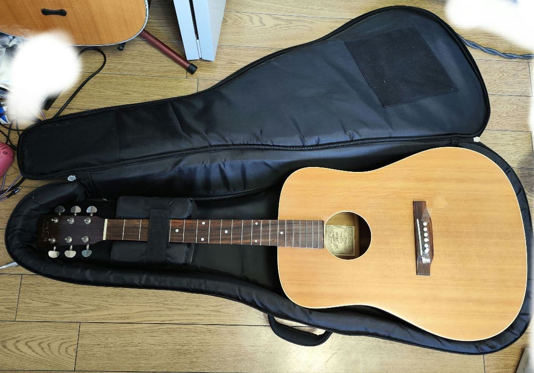 入手困難 Recording King RD-A9M オール単板 ドレッドノート